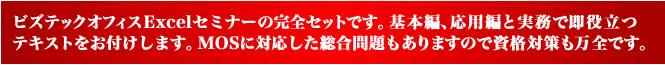 ビズテックオフィスExcelセミナーの完全セットです。基本編、応用編と実務で即役立つテキストをお付けします。MOSに対応した総合問題もありますので資格対策も万全です。