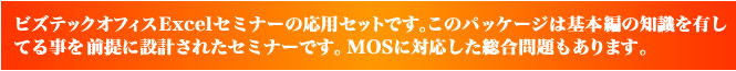 ビズテックオフィスExcelセミナーの応用セットです。このパッケージは基本編の知識を有してる事を前提に設計されたセミナーです。MOSに対応した総合問題もあります。